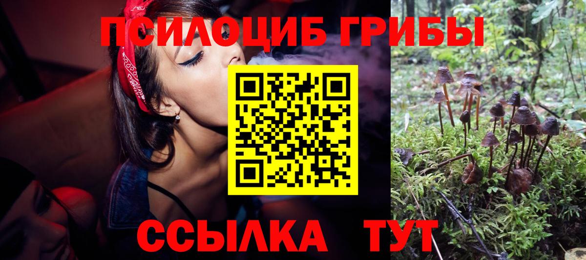 Псилоцибиновые грибы мухоморы Лысьва