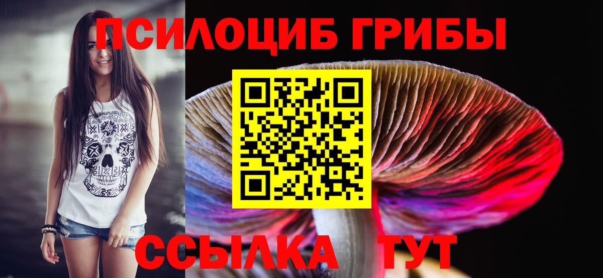 Лысьва  Псилоцибиновые грибы Psilocybe  Вход с VPN 